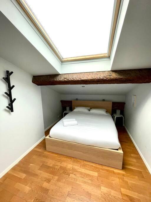 Le Charmeur - Appartement Climatise Avec 2 Chambres - Hypercentre Tuluza Zewnętrze zdjęcie