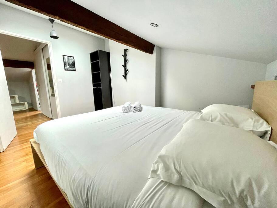 Le Charmeur - Appartement Climatise Avec 2 Chambres - Hypercentre Tuluza Zewnętrze zdjęcie